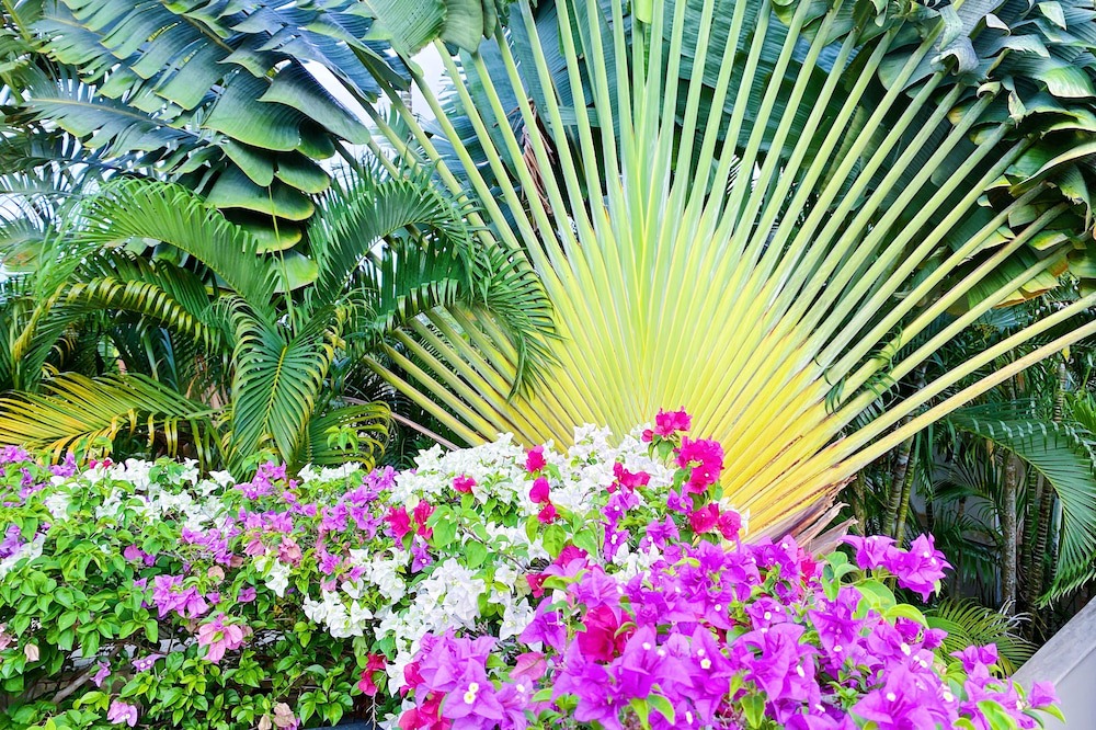 Photo of Outdoor in Cherngtalay