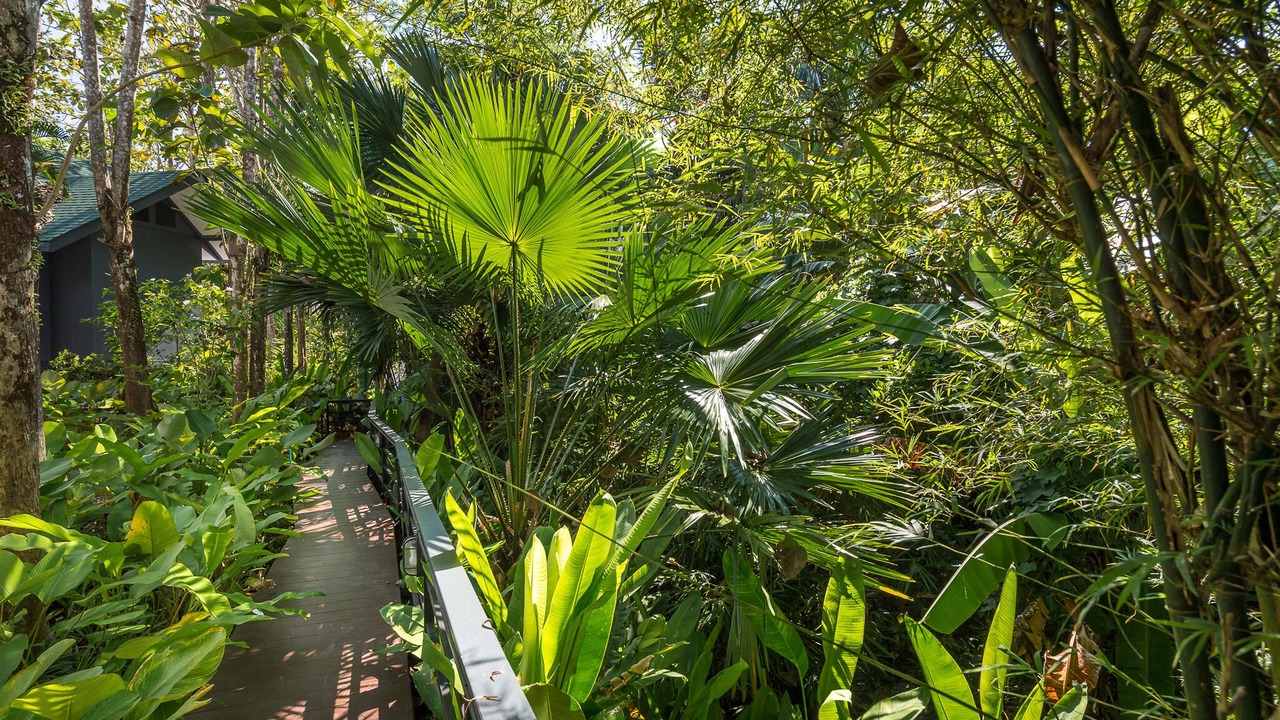 Photo of Outdoor in Nong Thale