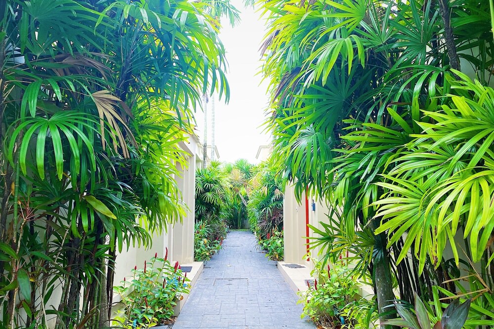 Photo of Outdoor in Cherngtalay