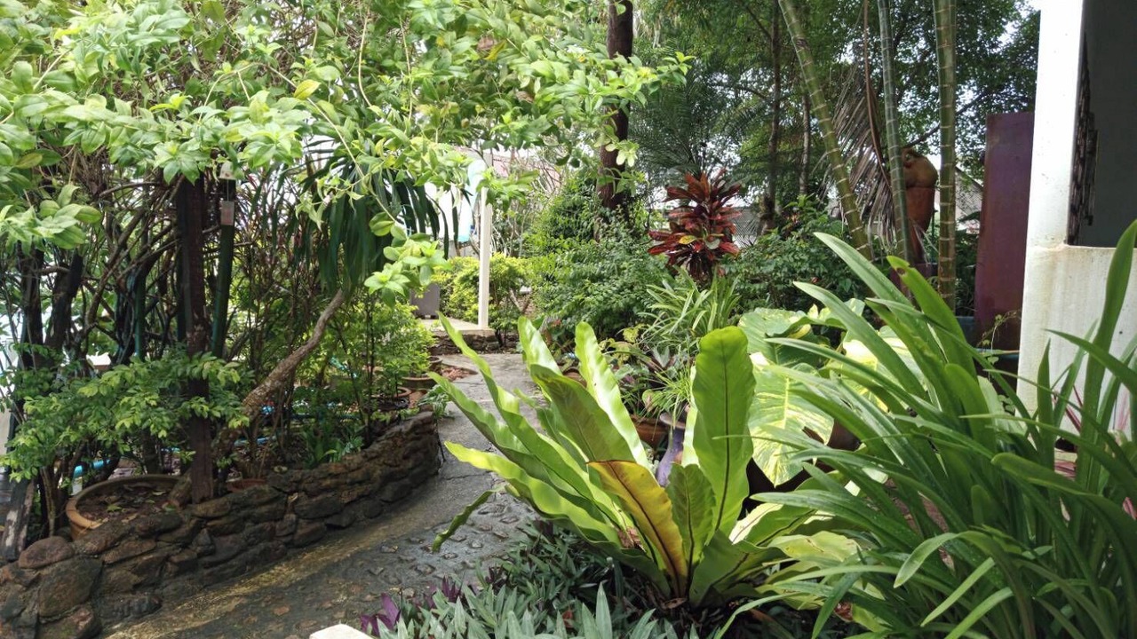 Photo of Outdoor in Bai Lan