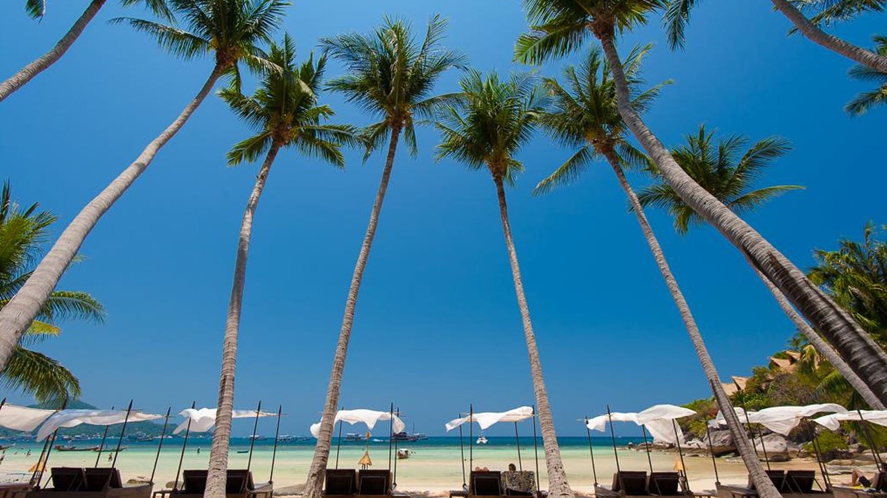 Photo of Outdoor in Koh Tao