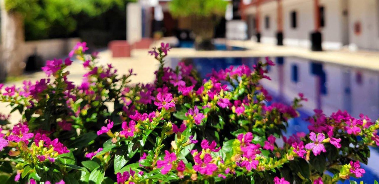 Photo of Outdoor in Cherngtalay