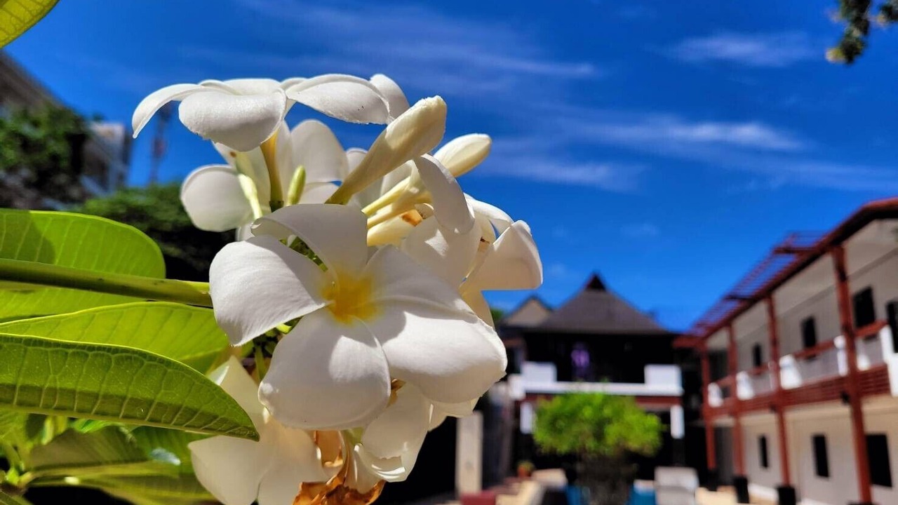 Photo of Outdoor in Cherngtalay