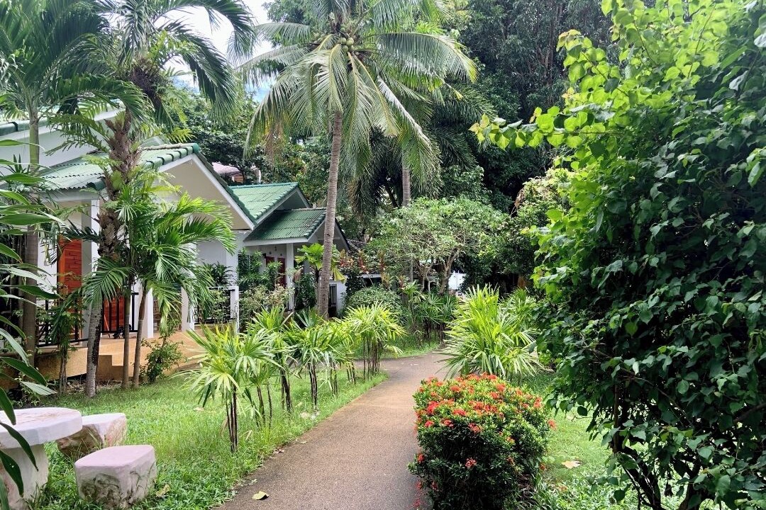 Photo of Outdoor in Lamai