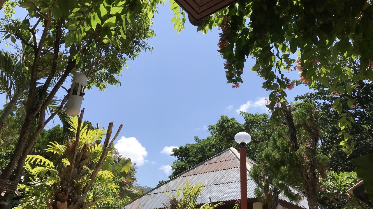 Photo of Outdoor in Lamai