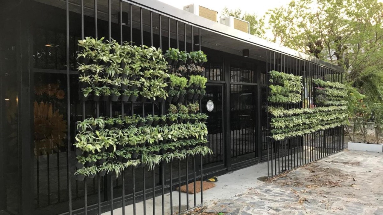 Photo of Outdoor in Chang Phueak