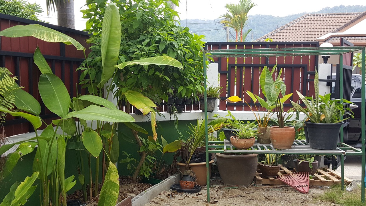 Photo of Outdoor in Si Sunthon