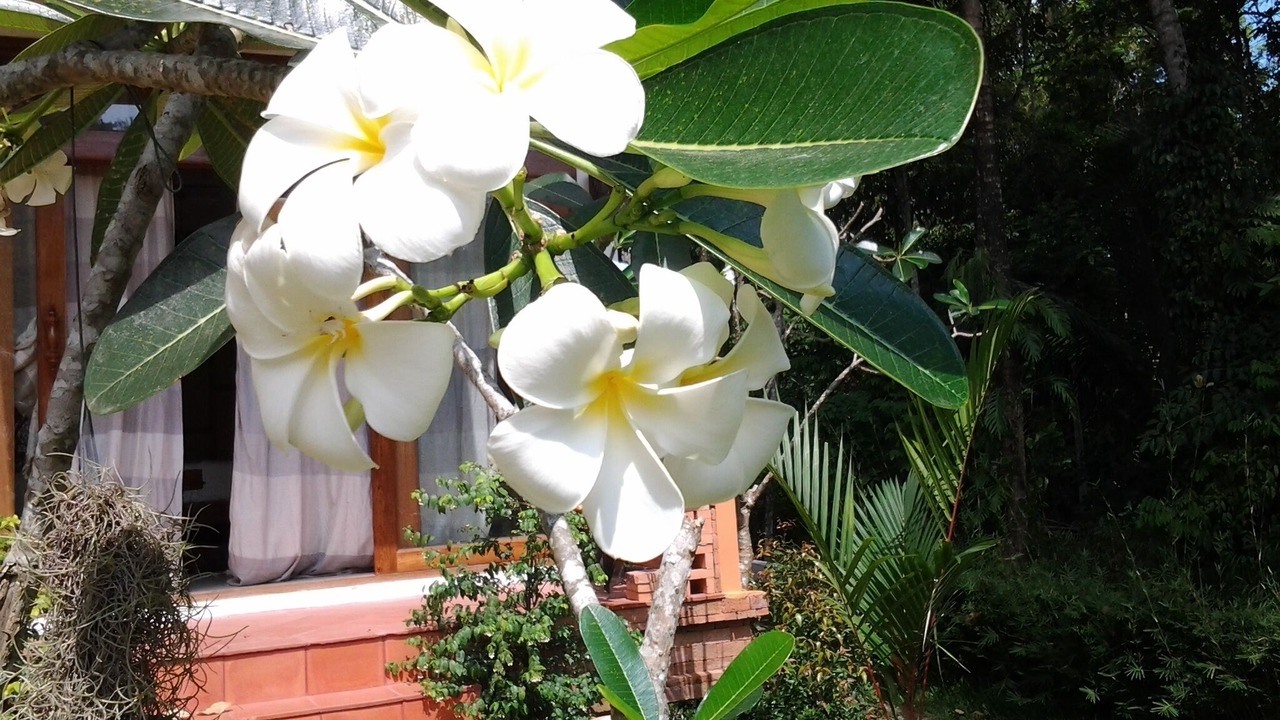 Photo of Outdoor in Mae Nam