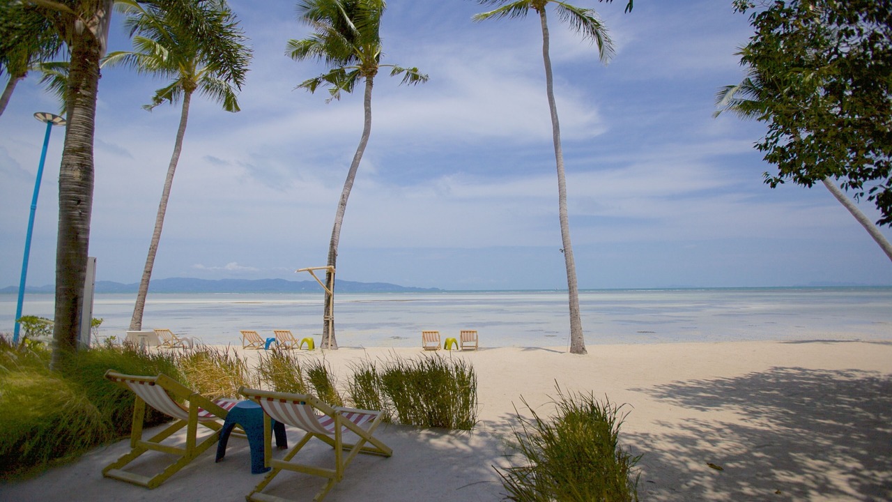 Photo of Outdoor in Thong Sala