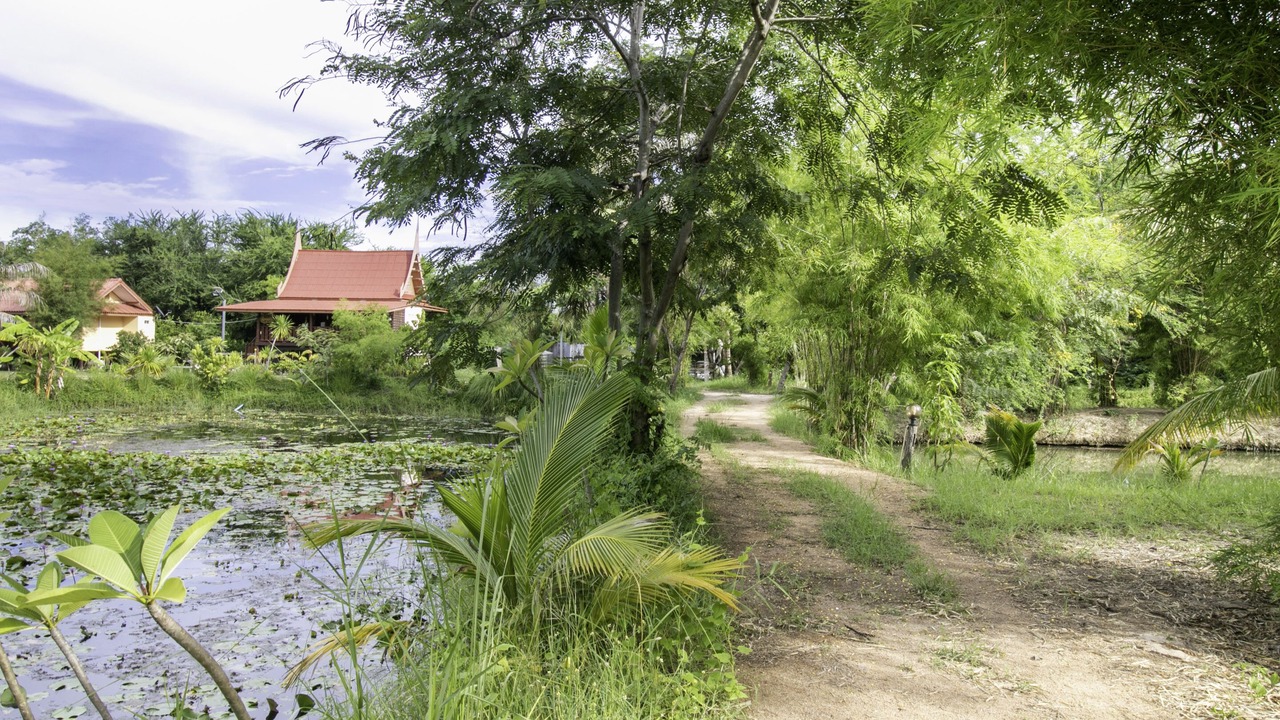 Photo of Outdoor in Kao Yai