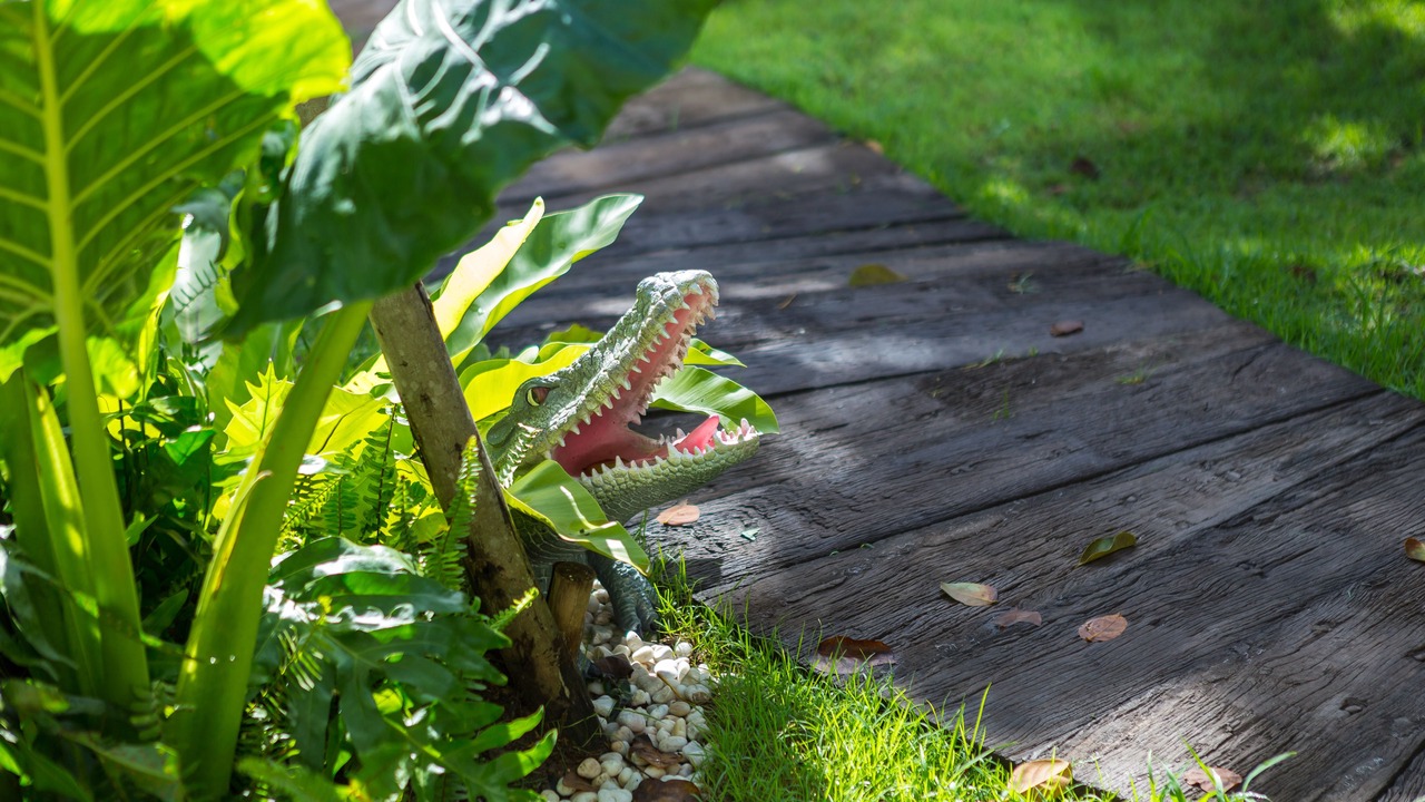 Photo of Outdoor in Pa Tan