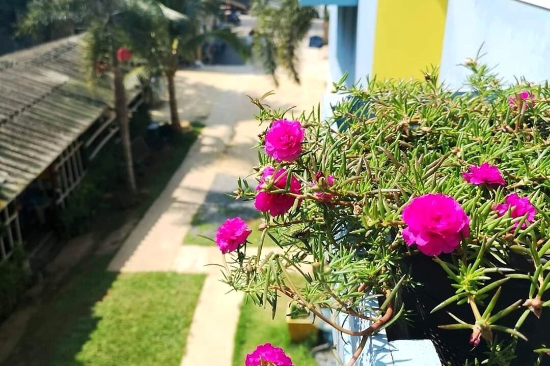 Photo of Outdoor in Ko Chang