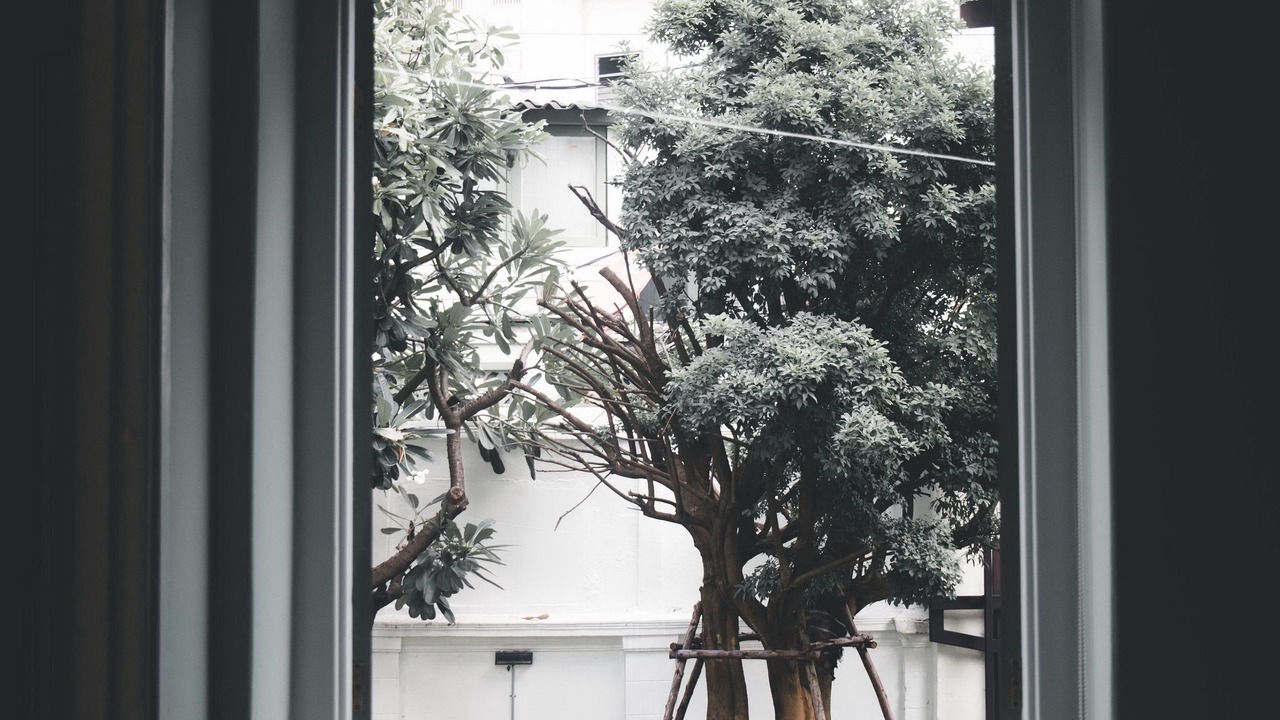 Photo of Bedroom in China Town