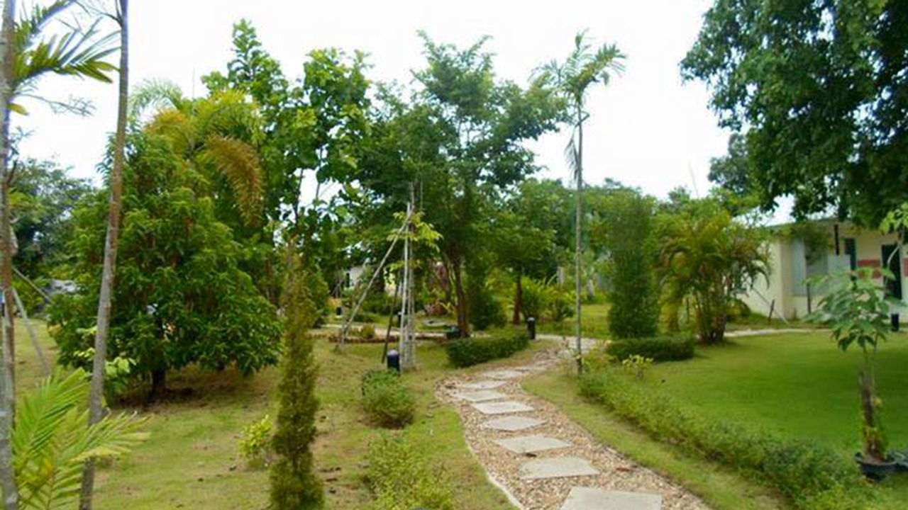 Photo of Outdoor in Pua
