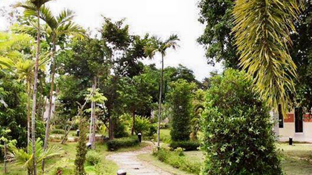 Photo of Outdoor in Pua
