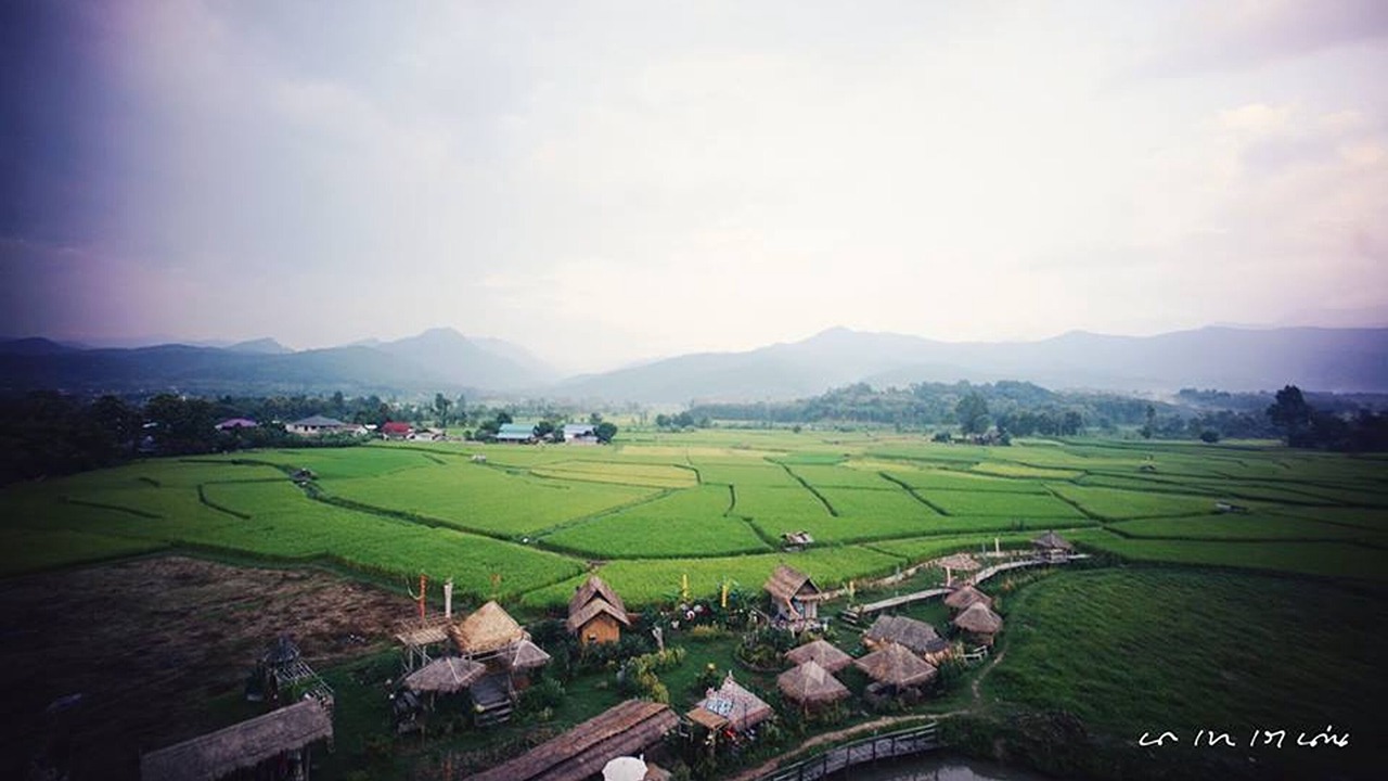 Photo of Others in Pua