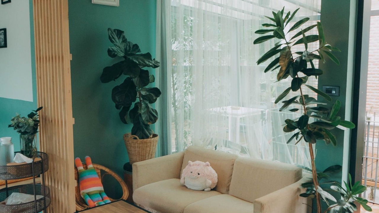 Photo of Bedroom in Pua