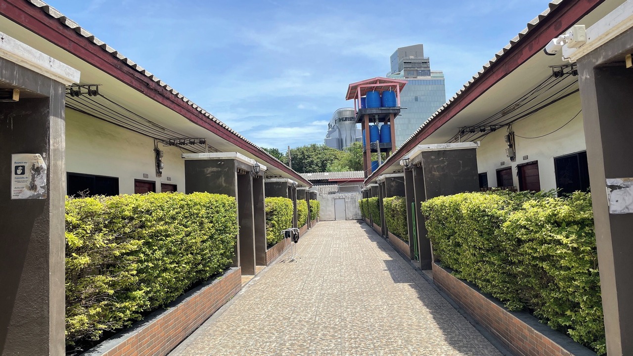 Photo of Outdoor in North Pattaya