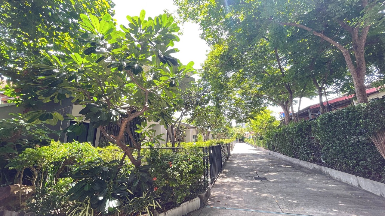 Photo of Outdoor in North Pattaya