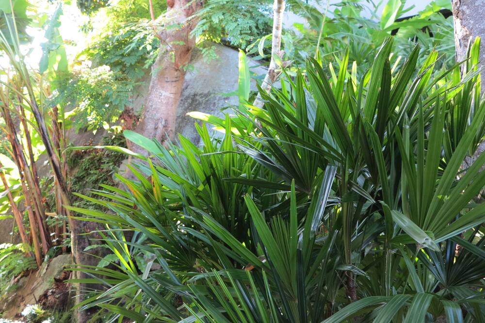 Photo of Outdoor in Patong