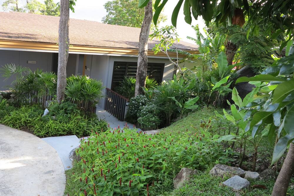 Photo of Outdoor in Patong