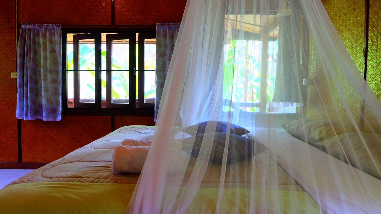 Photo of Others in Chiang Dao