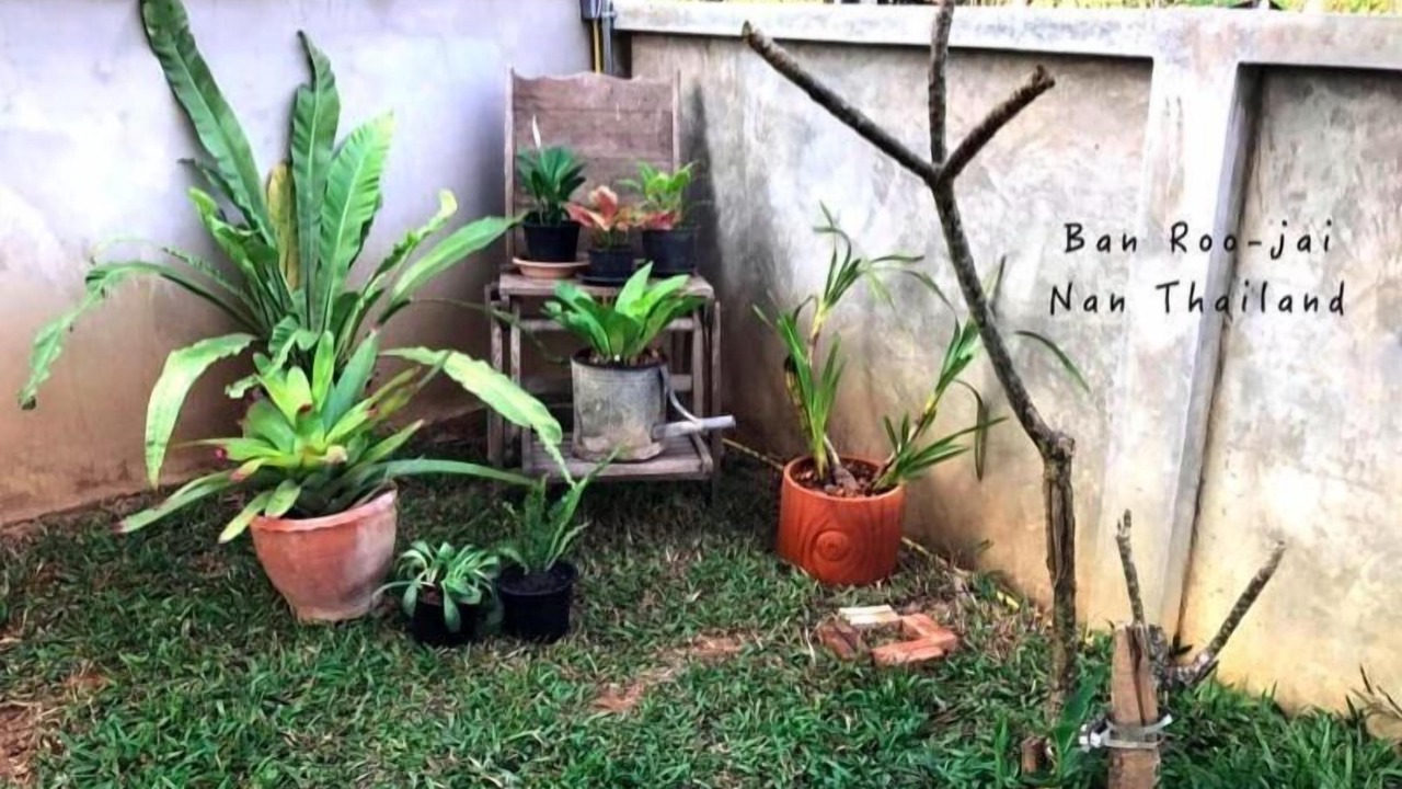 Photo of Outdoor in Nan