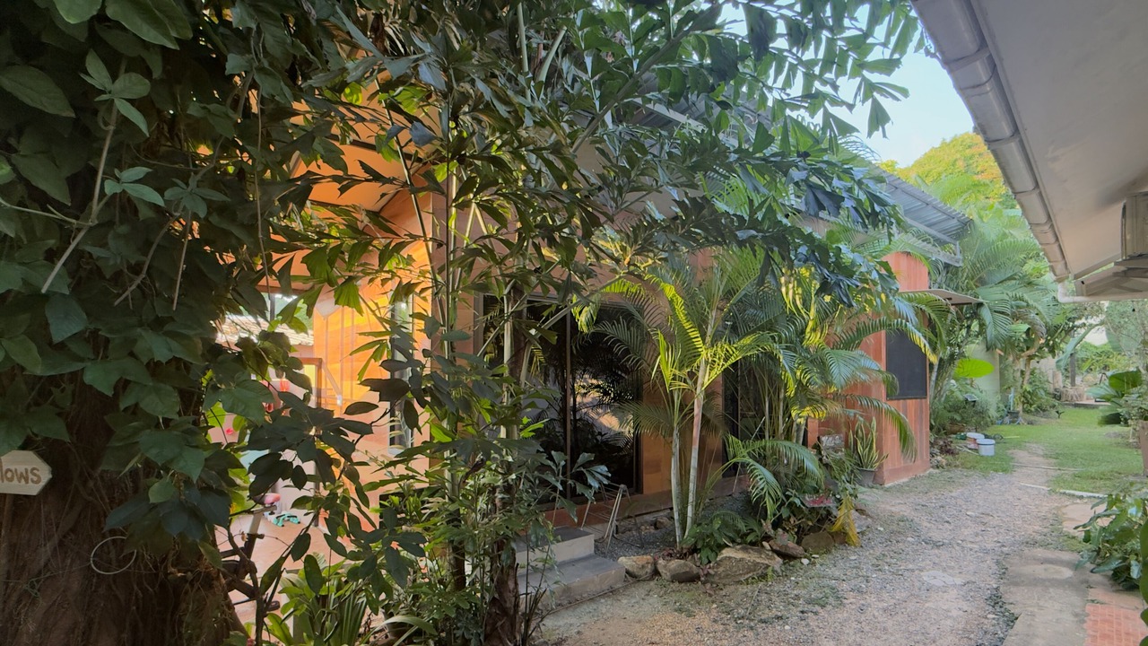 Photo of Outdoor in Bai Lan