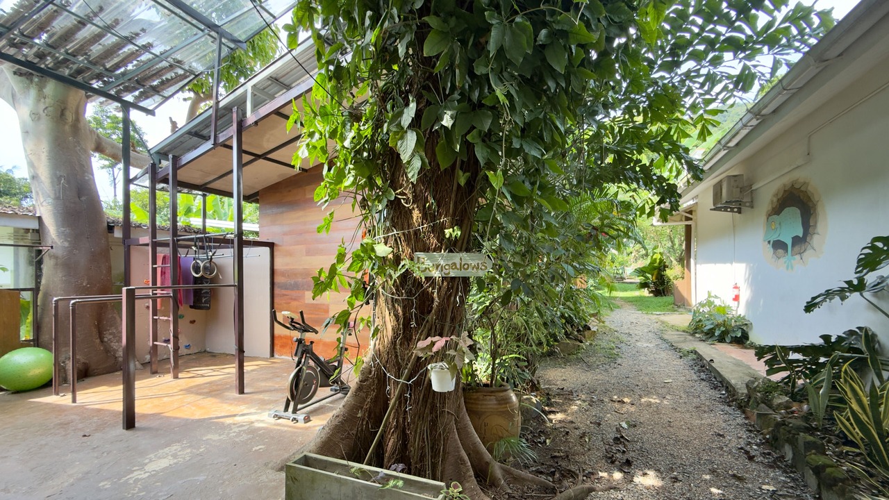 Photo of Outdoor in Bai Lan