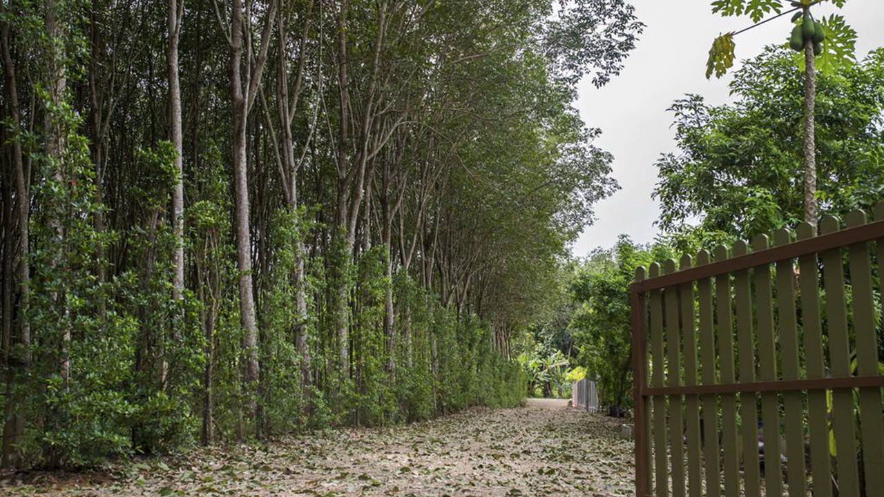 Photo of Outdoor in Nong Thale