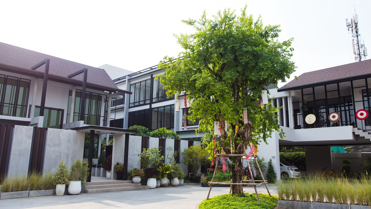 Photo of Outdoor in Chiang Rai