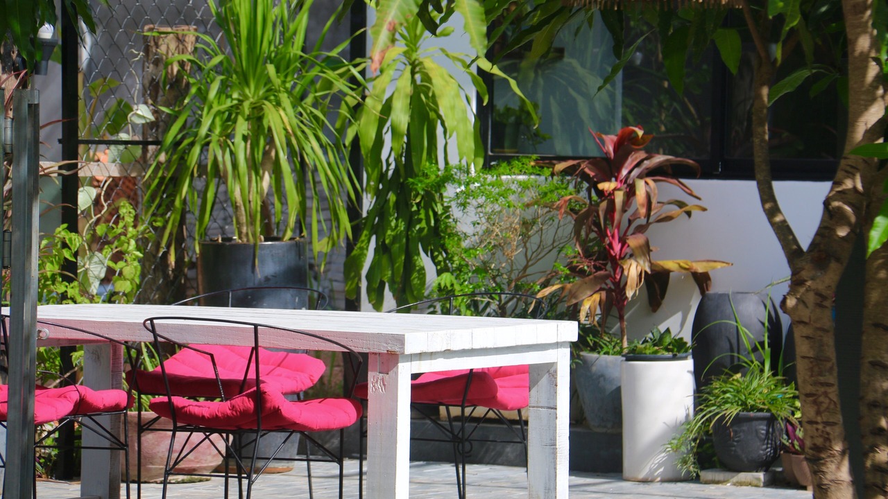 Photo of Outdoor in Siem Reap