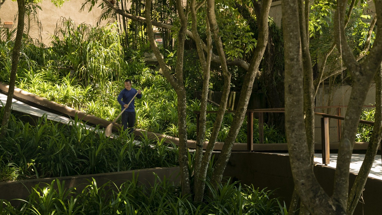 Photo of Outdoor in Kamala