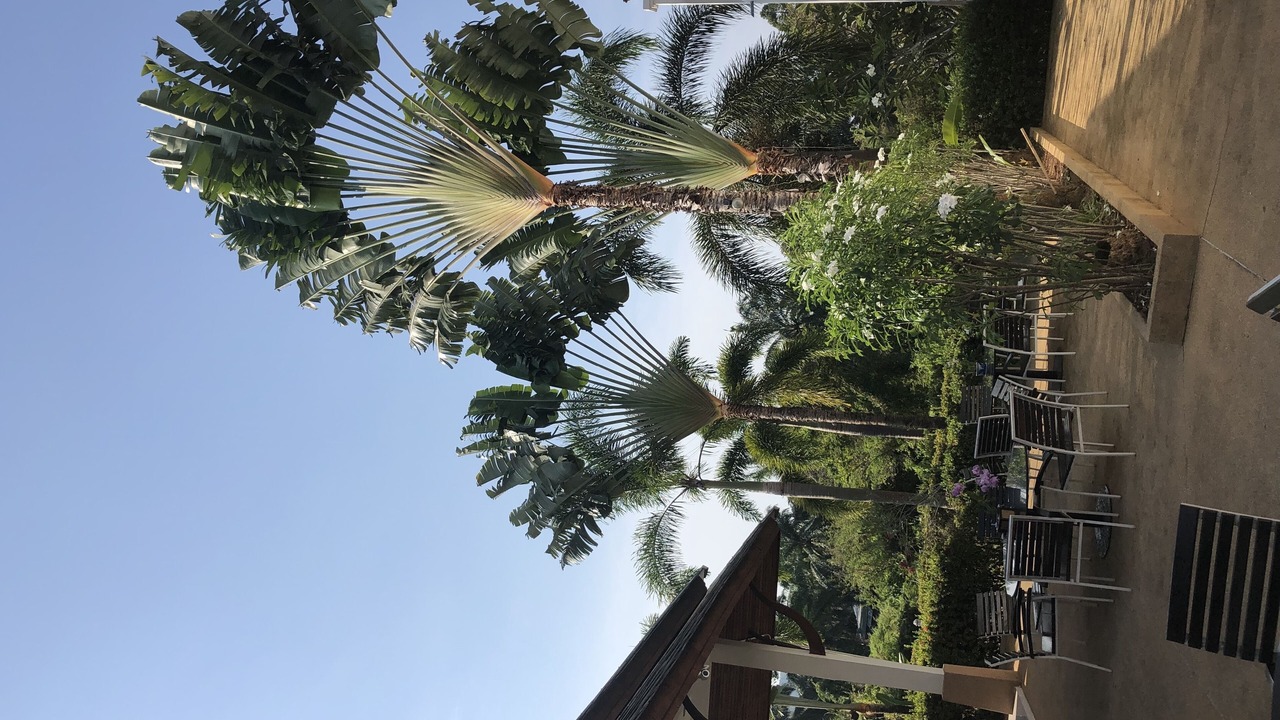 Photo of Outdoor in Ban Khlong Haeng