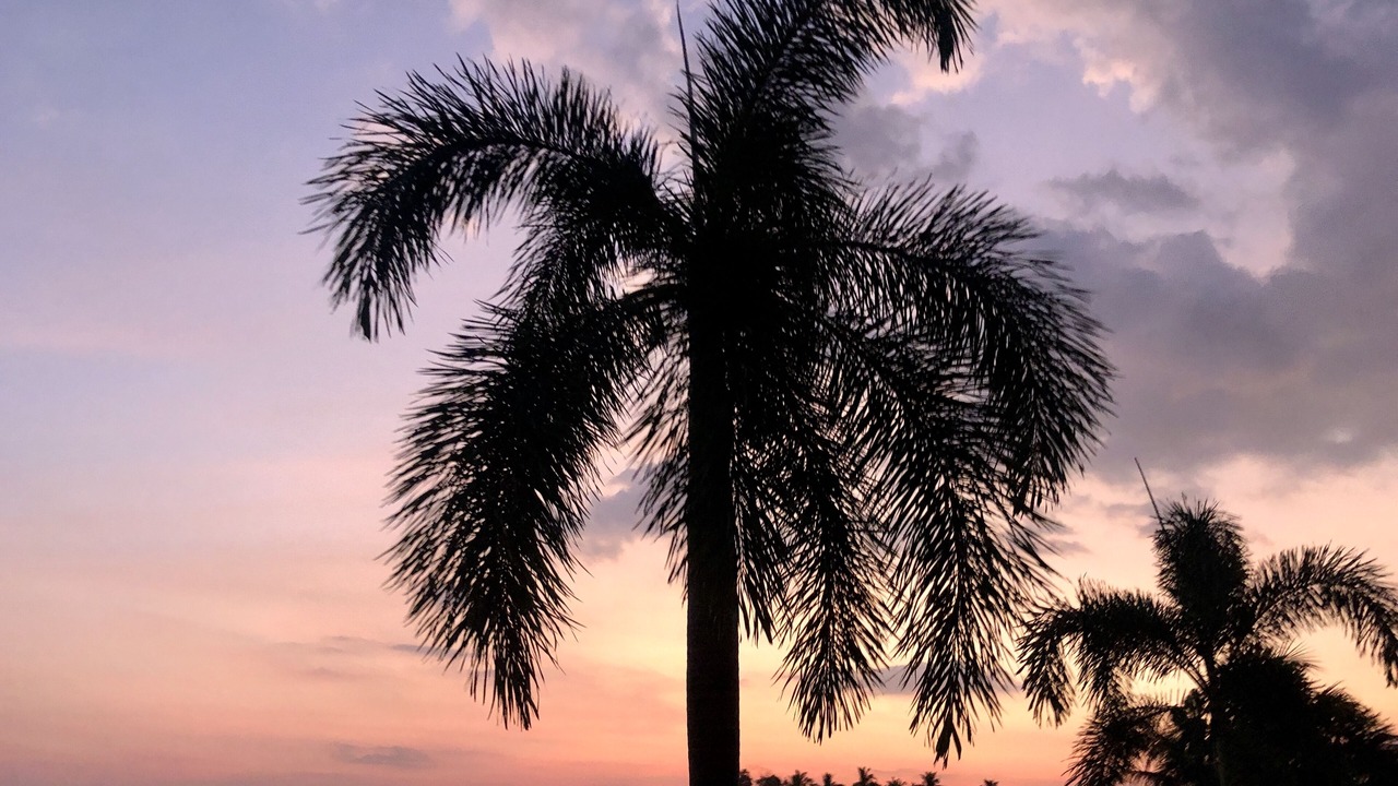 Photo of Outdoor in Ban Khlong Haeng