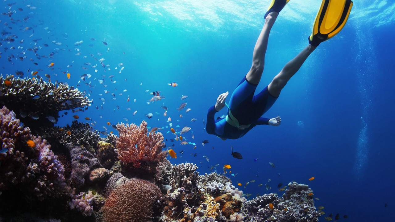 Photo of Others in Lamai