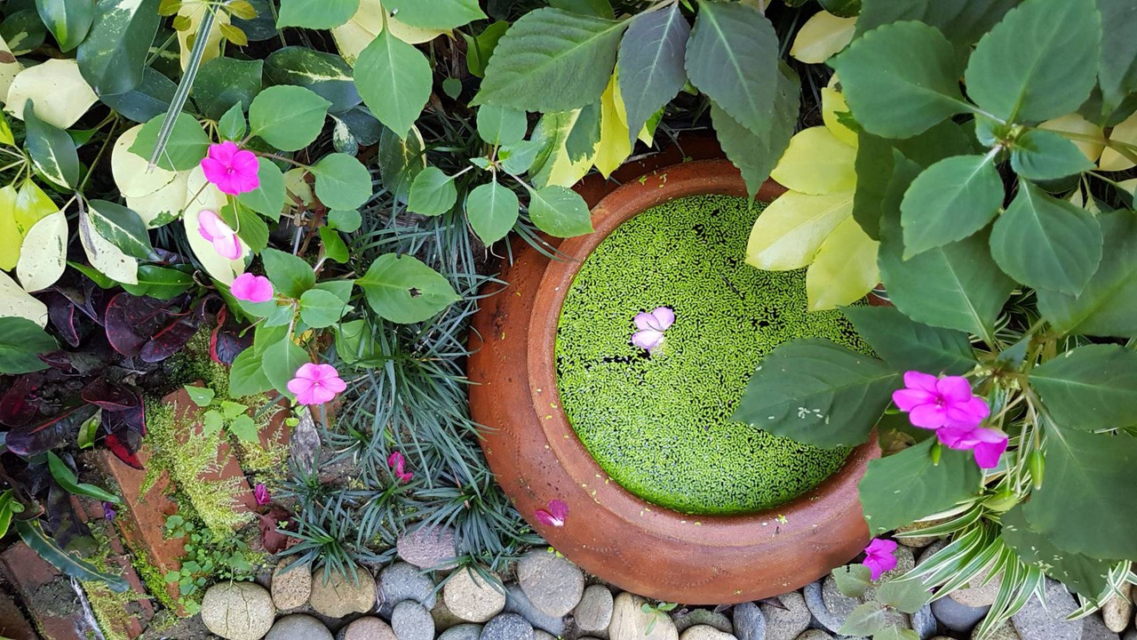 Photo of Outdoor in Chiang Rai