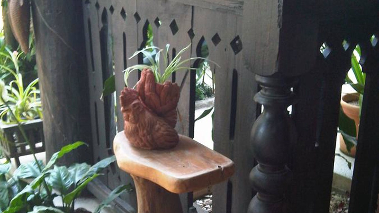 Photo of Outdoor in Chiang Rai