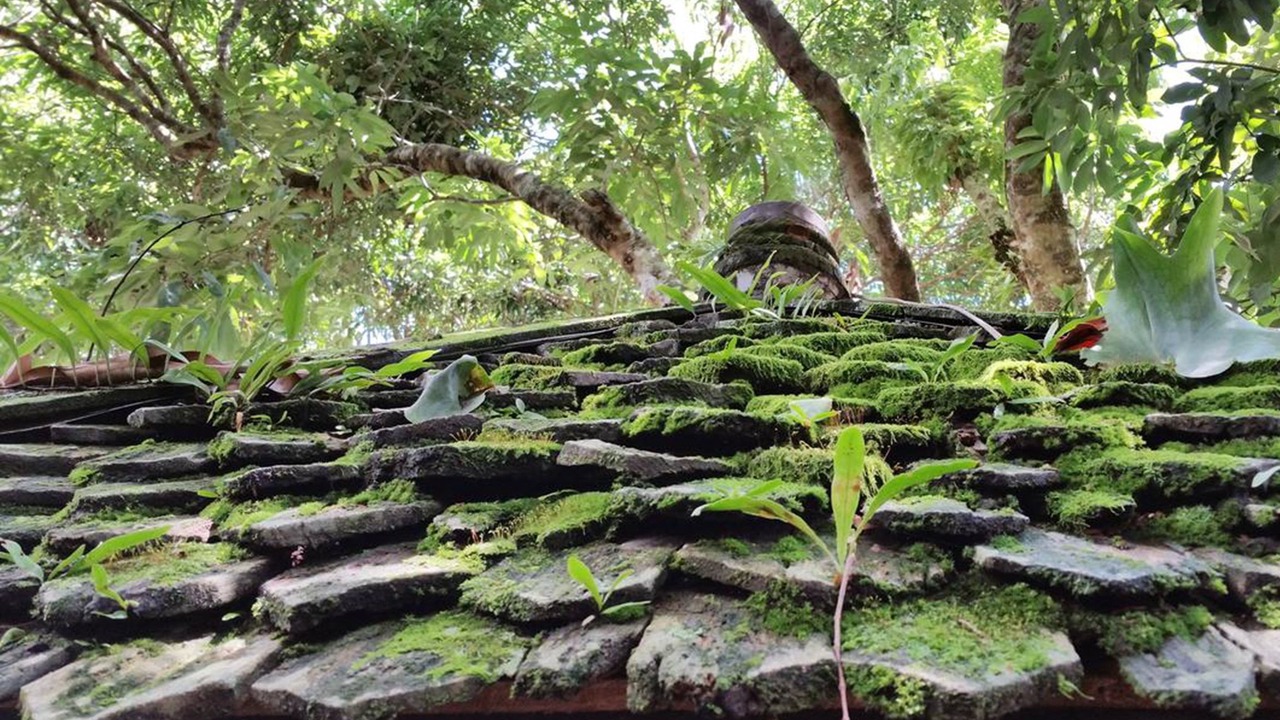 Photo of Outdoor in Chiang Rai