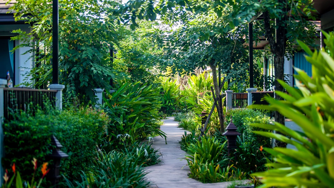 Photo of Outdoor in Ban Bo Han