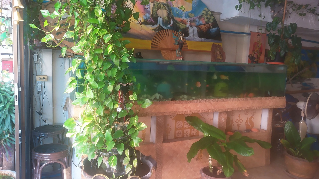 Photo of Others in Jomtien