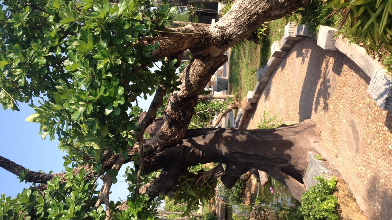 Photo of Outdoor in Nakhon Ratchasima