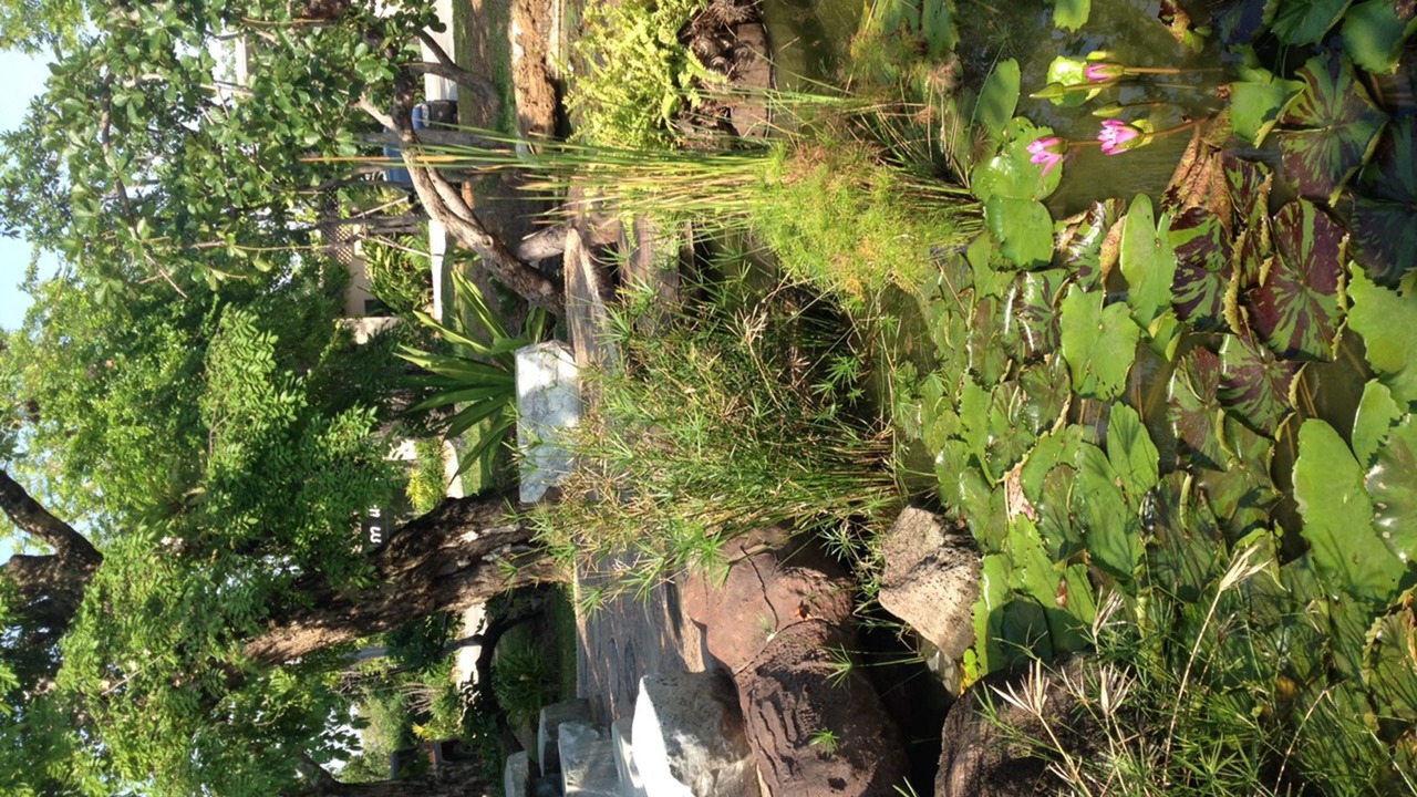 Photo of Outdoor in Nakhon Ratchasima