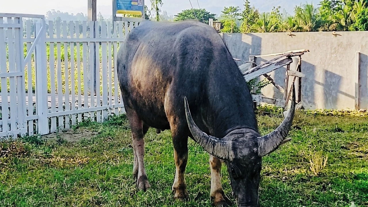 Photo of Outdoor in Khlong Lan