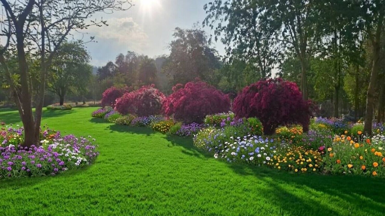 Photo of Outdoor in Kaeng Krachan