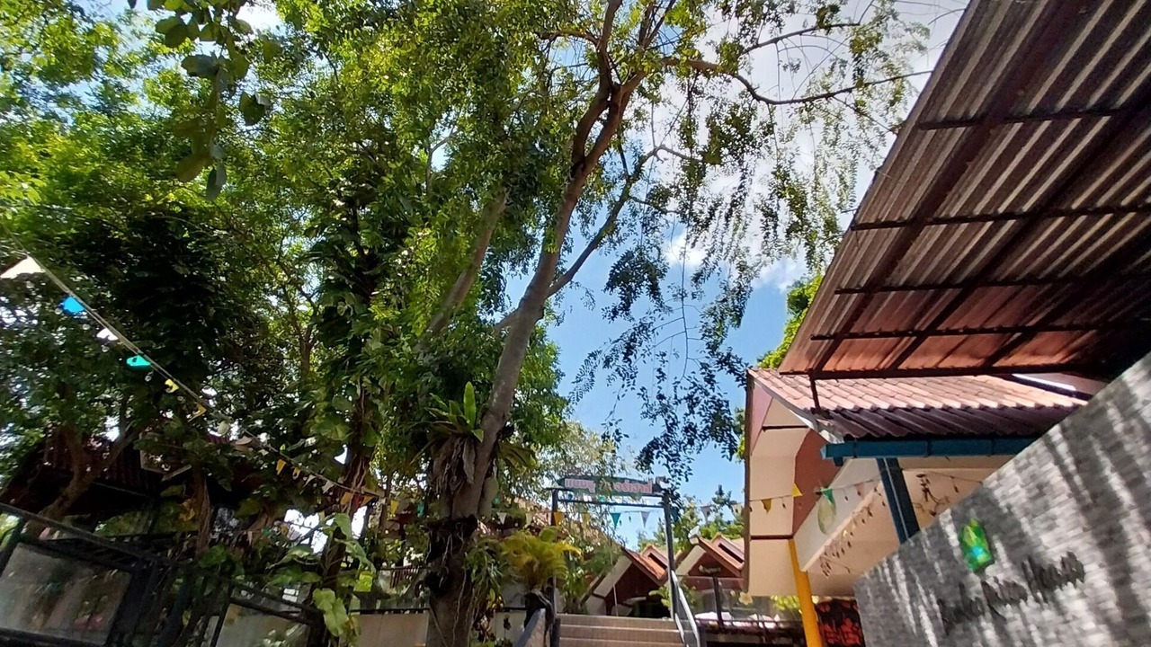 Photo of Outdoor in Song Phi Nong