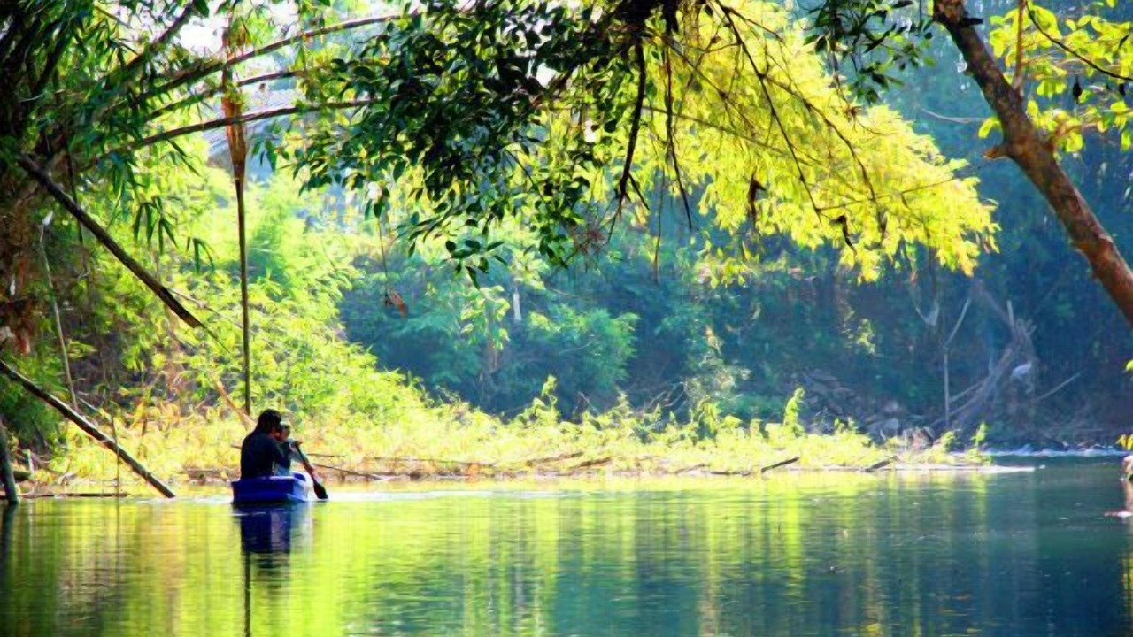 Photo of Others in Khanong Phra