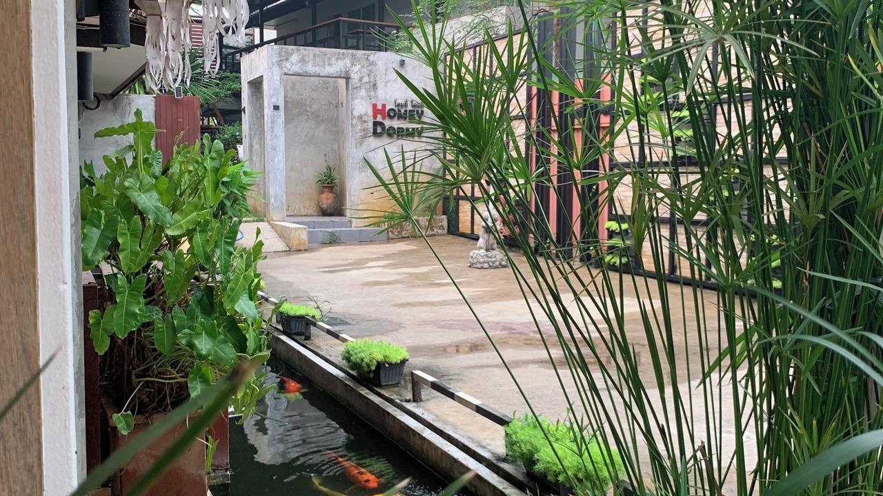 Photo of Outdoor in Chiang Rai