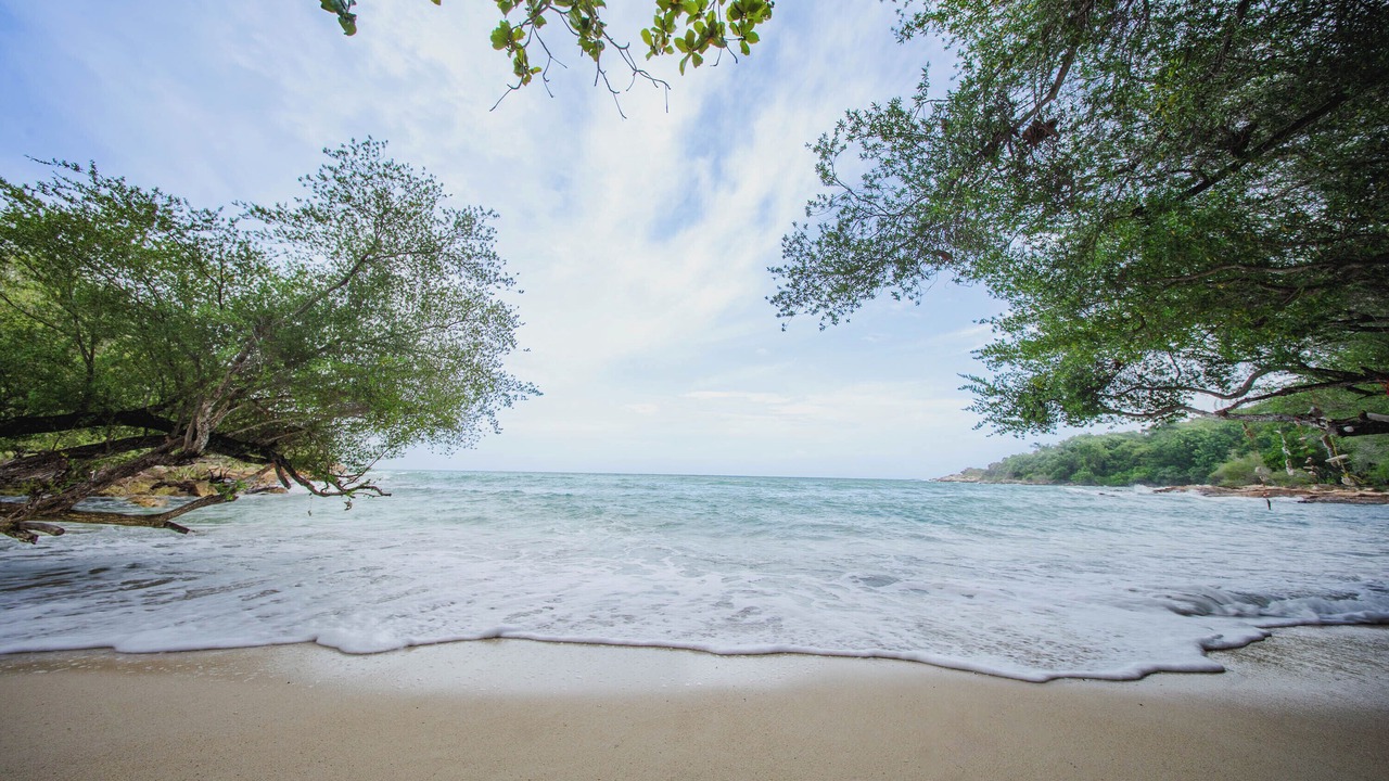 Photo of Others in Rayong