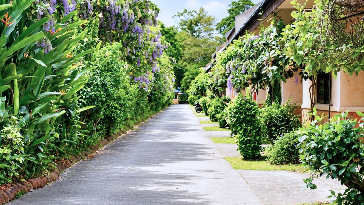 Photo of Outdoor in Hat Yai